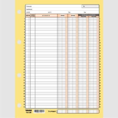 ΚΑΡΤΕΛΕΣ ΛΟΓΙΣΤΙΚΕΣ Α4 4 ΣΤΗΛΕΣ ΤΥΠΟΦΙΞ (100 τμχ)