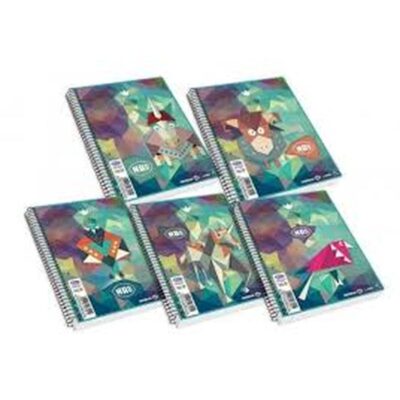 ΤΕΤΡΑΔΙΟ ΣΠΙΡΑΛ MAD PP Α4 4 ΘΕΜ.