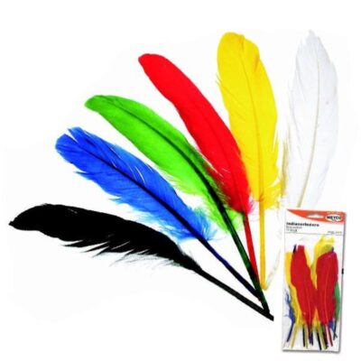 ΦΤΕΡΑ INDIAN 17-20cm (17 τμχ) MEYCO (24070)