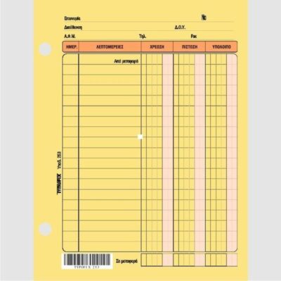 ΚΑΡΤΕΛΕΣ ΛΟΓΙΣΤΙΚΕΣ 12Χ15 ΤΥΠΟΦΙΞ (100 τμχ)