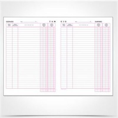 ΒΙΒΛΙΟ ΤΑΜΕΙΟΥ 29Χ43