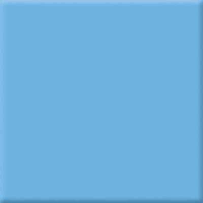 ΑΦΡΩΔΕΣ ΦΥΛΛΟ 20Χ30 ΣΙΕΛ