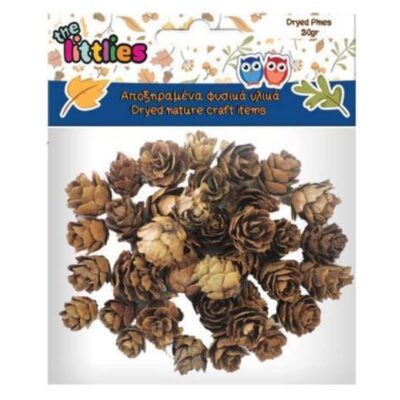 ΑΠΟΞΗΡΑΜΕΝΑ ΚΟΥΚΟΥΝΑΡΙΑ ΜΙΚΡΑ 20gr (4620172)