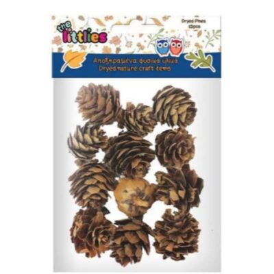 ΑΠΟΞΗΡΑΜΕΝΑ ΚΟΥΚΟΥΝΑΡΙΑ (12 τμχ) (4620173)