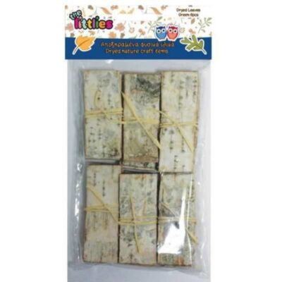 ΑΠΟΞΗΡΑΜΕΝOI  ΦΛΟΥΔΕΣ ΔΕΝΤΡΟΥ (6 τμχ) (4620179)