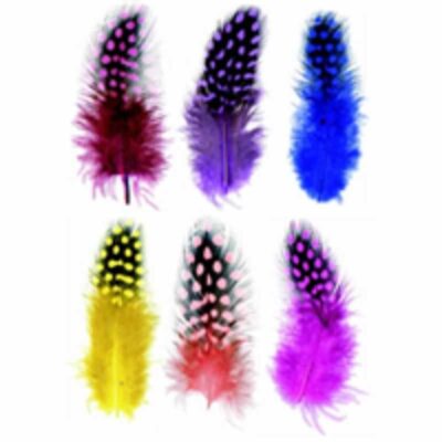 ΠΟΥΠΟΥΛΑ ΠΑΓΟΝΙ (24τμχ) MEYCO (24056)