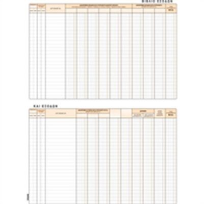 ΒΙΒΛΙΟ ΕΣΟΔΩΝ ΕΞΟΔΩΝ 25Χ35 100Φ.