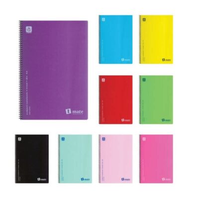 ΤΕΤΡΑΔΙΟ ΣΠΙΡΑΛ T-MATE PP Α4 2 ΘΕΜ. (4542-22)