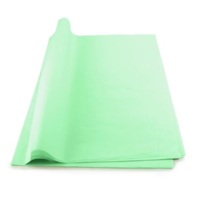 ΧΑΡΤΙ ΜΕΤΑΞΟΧΑΡΤΟ 50 Χ 70cm AQUA MINT (10) ΔΕΣΜΙΔΑ 26 φ. WEROLA